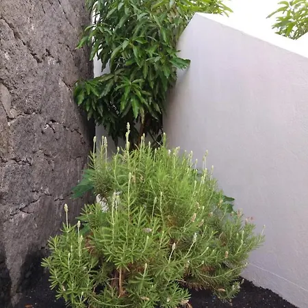 빌라 Lanzarote